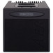 AER Compact Mobile II Acoustic Guitar Amp