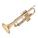 Besson BE110 New Standard Bb Trumpet, Gold Lacquer, Side