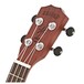 Kahuna Solid Top Concert Ukulele