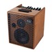 Acus One ForStrings 6T Amp, Wood