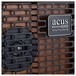Acus One ForStrings 6T Amp, Wood