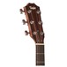 Taylor 214ce Deluxe Grand Auditorium Electro Acoustic Guitar, Natural