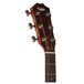 Taylor 214ce Deluxe Grand Auditorium Electro Acoustic, Sunburst