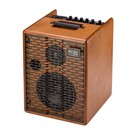 Acus One Forstreet Combo Amp, Wood