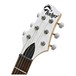 Badger Electric Guitar and Case, Black