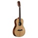 Alvarez MPA70 Parlor Acoustic Guitar