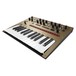 Korg Monologue Analogue Synthesizer, Gold - Angled