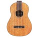 Cordoba 30T Ukulele