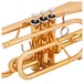 Yamaha YCR4330GII Intermediate Cornet