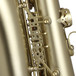 Trevor James Horn 88 Intermediate Alto Sax Brushed Gold