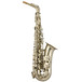 Trevor James Horn 88 Intermediate Alto Sax Brushed Gold