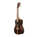 Kala KA-ZCT-C Ziricote Concert Ukulele Left