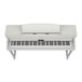 Roland HP605