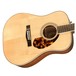 Fender PM-1 Paramount Limited Adirondack Dreadnought Mahogany