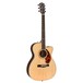 Fender PM-3 Paramount Limited Adirondack Triple-0 Rosewood, Natural