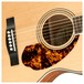 Fender PM-3 Paramount Limited Adirondack Triple O Mahogany, Natural