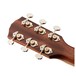 Fender PM-3 Paramount Limited Adirondack Triple O Mahogany, Natural