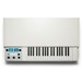 Mellotron M4000D, White - Top