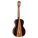 Tanglewood TWJPS Parlour Acoustic Guitar, Natural