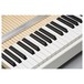 Mellotron M4000D, White - Detail 3