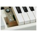 Mellotron M4000D, White - Detail 8