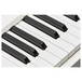 Mellotron M4000D-Mini, White - Detail 2