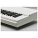 Mellotron M4000D-Mini, White - Detail 5