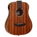 Tanglewood TW2TE Winterleaf Travel Electro Acoustic Guitar, Natural