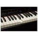 Roland DP-90SE