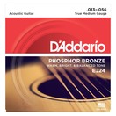 D'Addario EJ24 Phosphor Bronze, True Medium, 13-56