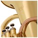 Coppergate Intermediate 4 Valve Euphonium by Gear4music