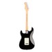 Fender American Pro Stratocaster RW, Black