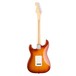 Fender American Pro Stratocaster RW Sienna Sunburst