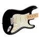 Fender American Pro Stratocaster MN, Black