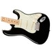 Fender American Pro Stratocaster MN, Black