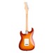 Fender American Pro Stratocaster MN, Sienna Sunburst