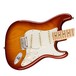 Fender American Pro Stratocaster MN, Sienna Sunburst