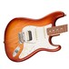 Fender American Pro Stratocaster HSS RW, Sienna Sunburst