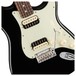 Fender American Pro Stratocaster HH RW, Black