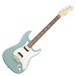 Fender American Pro Stratocaster HH RW, Sonic Gray