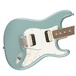 Fender American Pro Stratocaster HH RW, Sonic Gray
