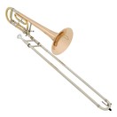 Coppergate Professional Bb/F Trombone with Closed Wrap by Gear4music