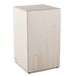 Ruach Street Cajon