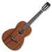 Ibanez AVN9-OPN Artwood Parlour Acoustic Guitar, Natural Open Pore
