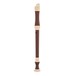 Treble Recorder with Wood Grain Finish, Cleaning Rod and Case