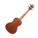 JM Forest FBC300 Arched Top Solid Spruce Concert Ukulele, Natural