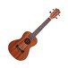 JM Forest JMFBC210EQ Mahogany Concert Electro Ukulele, Natural