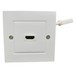 Eagle Single HDMI Wall Plate With Flying Lead