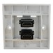 Eagle Twin HDMI Wall Plate