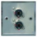Eagle Metal AV Wall Plate With 2 x 6.35 mm Jack Socket